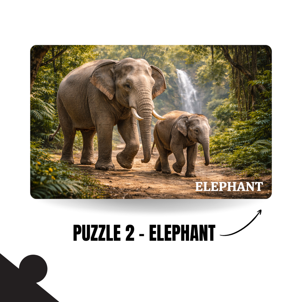 Wild Animals 5-in-1 Puzzle Value Pack - 120 Pieces Each - A4