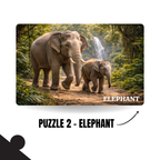Wild Animals 5-in-1 Puzzle Value Pack - 120 Pieces Each - A4