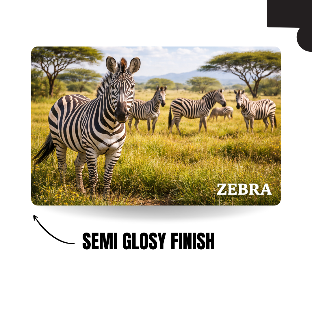 Wild Animal - ZEBRA - 120 Pieces Puzzle A4
