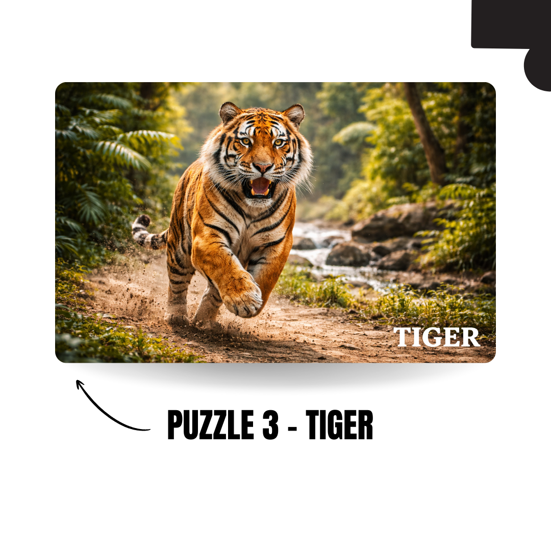 Wild Animals 5-in-1 Puzzle Value Pack - 120 Pieces Each - A4