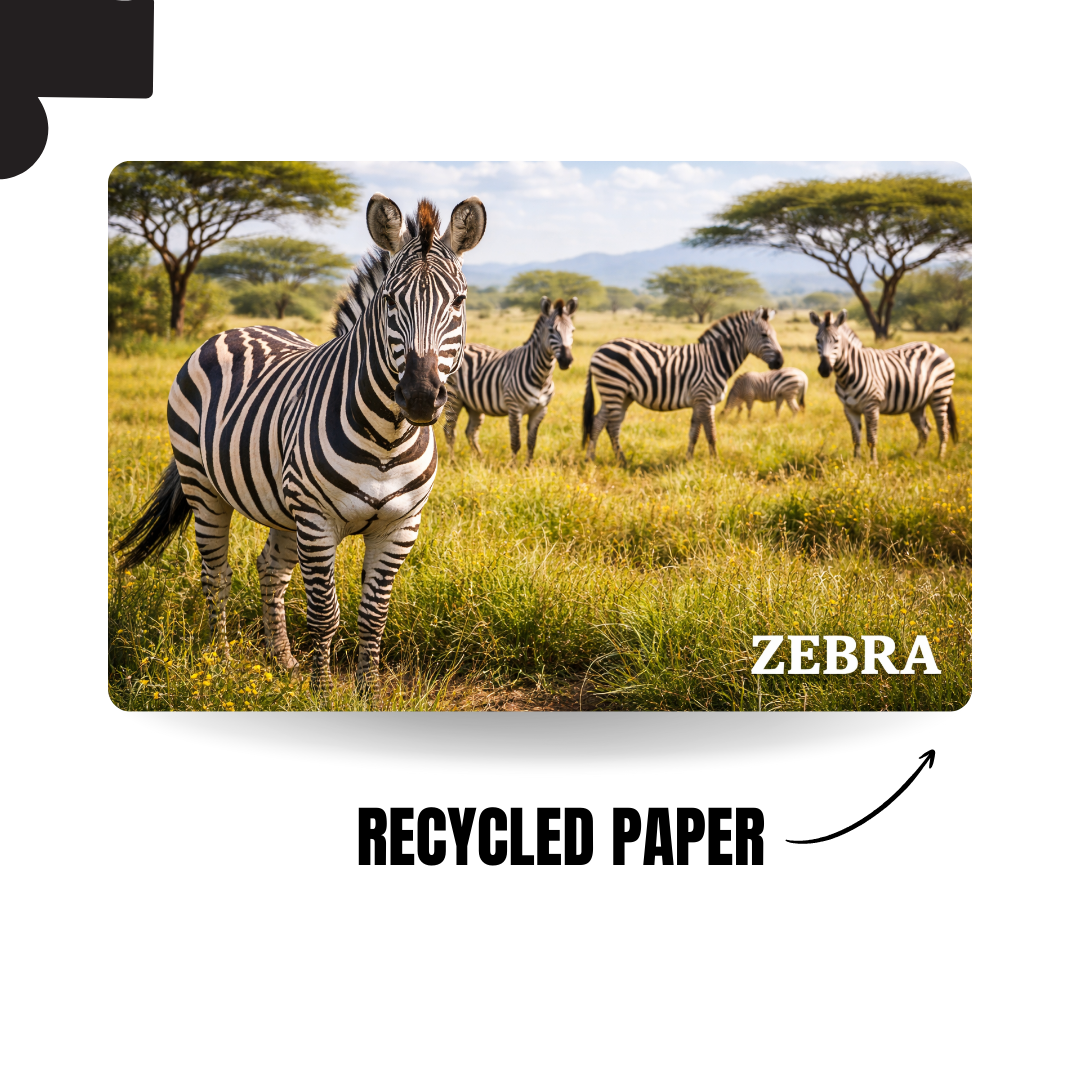 Wild Animal - ZEBRA - 120 Pieces Puzzle A4