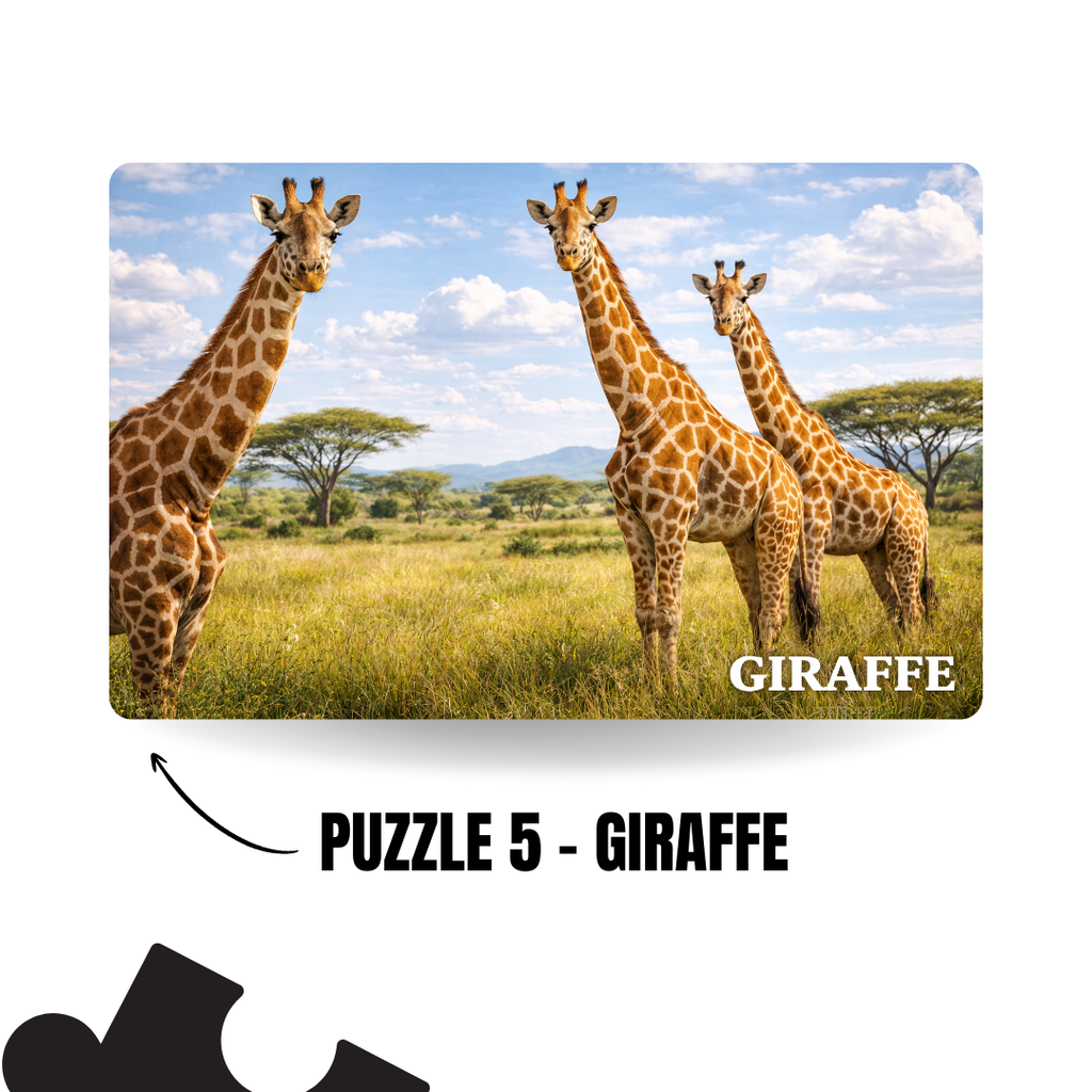 Wild Animals 5-in-1 Puzzle Value Pack - 120 Pieces Each - A4
