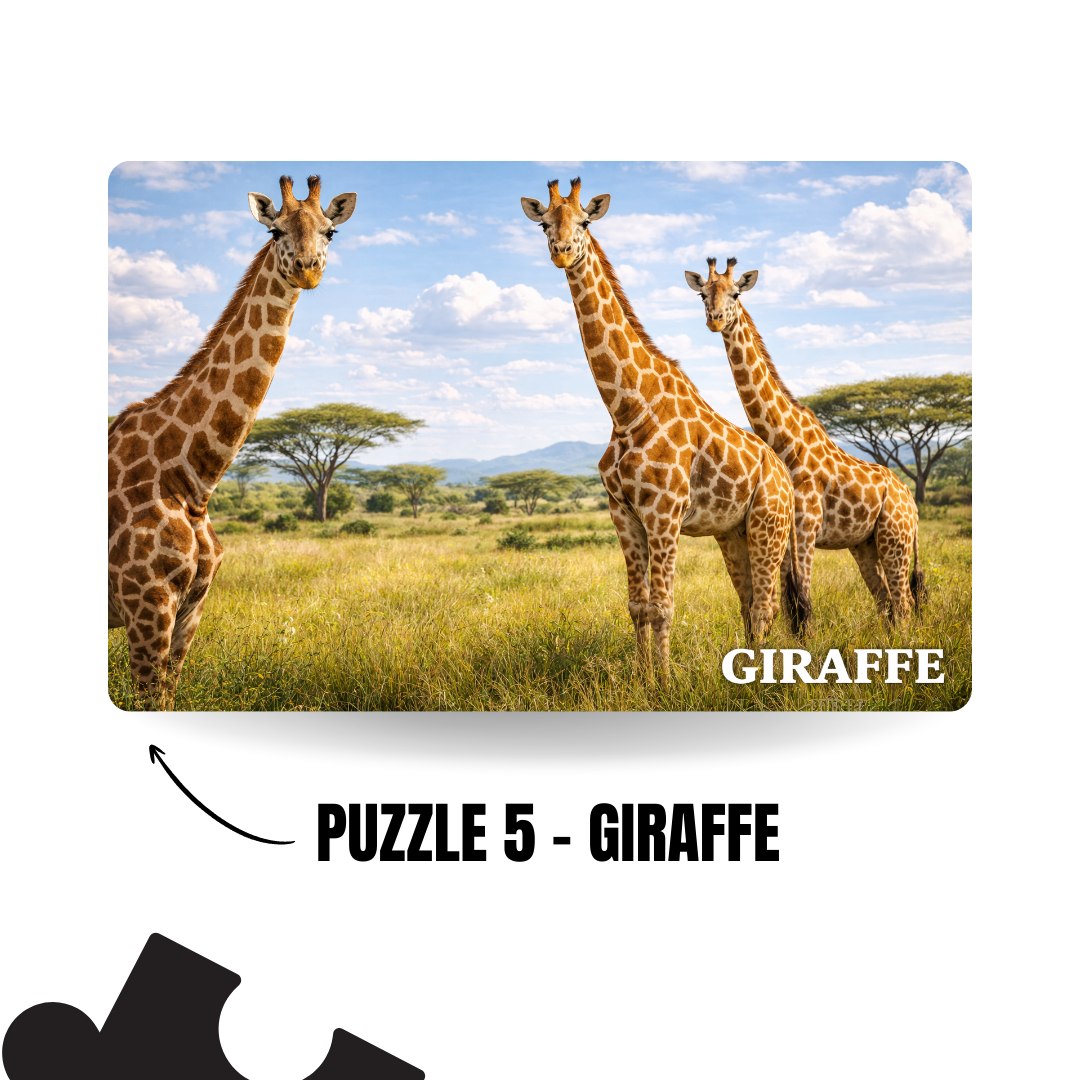 Wild Animals 5-in-1 Puzzle Value Pack - 120 Pieces Each - A4