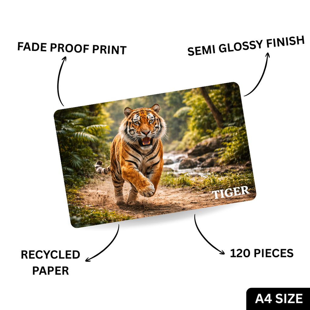 Wild Animals 5-in-1 Puzzle Value Pack - 120 Pieces Each - A4