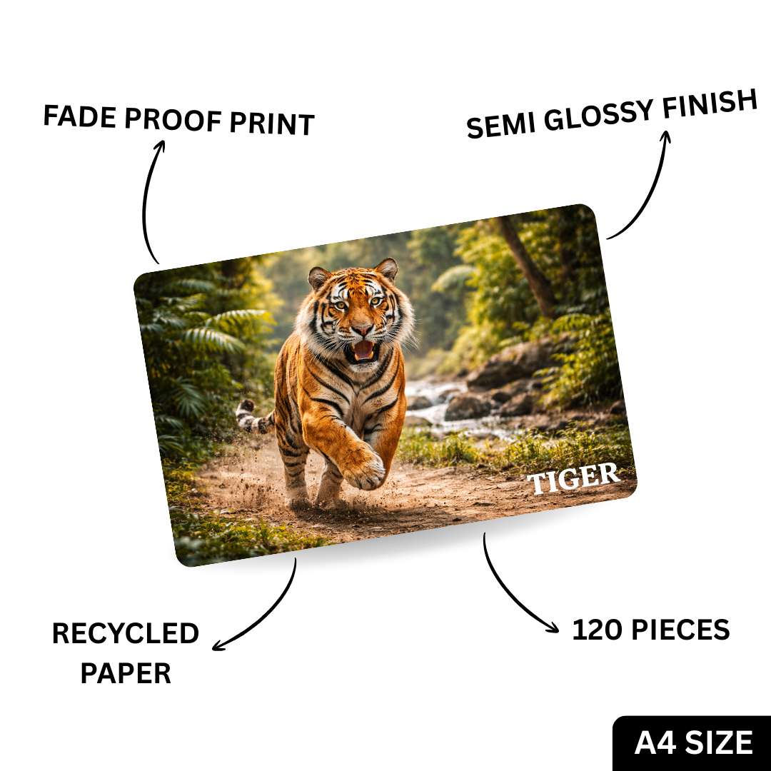 Wild Animals 5-in-1 Puzzle Value Pack - 120 Pieces Each - A4